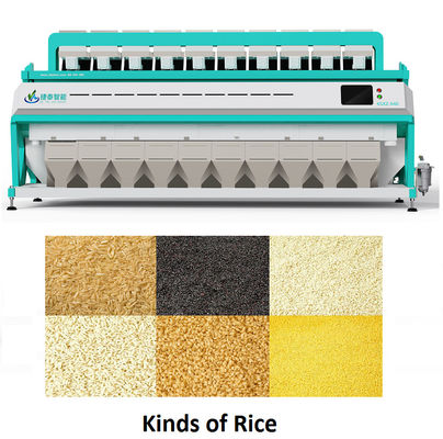 Máquina automática de clasificación de color de arroz CCD inteligente digital con 10 escaleras