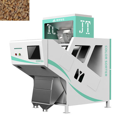 Clasificadora automática de color de maíz de grano ODM 1 tolva